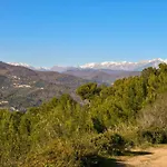 Ca Veggia For Nature Lovers - Happy *