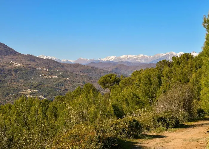 Ca Veggia For Nature Lovers - Happy *